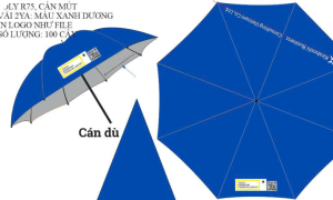DM KOKOKUSHA VIỆT NAM x Kiraboshi –  Quà tặng khai trương văn phòng